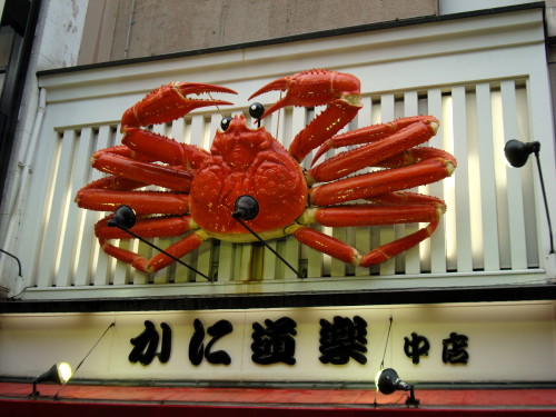 DSC00093.JPG