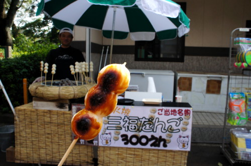 DSC00527.JPG