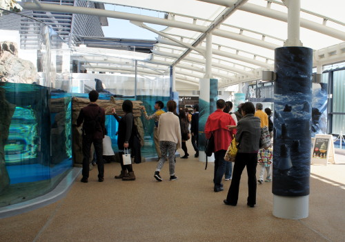 DSC05029.JPG