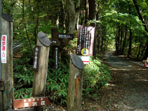 DSC06271.jpg