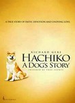hachi.jpg