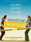 sunshine-cleaning.jpg
